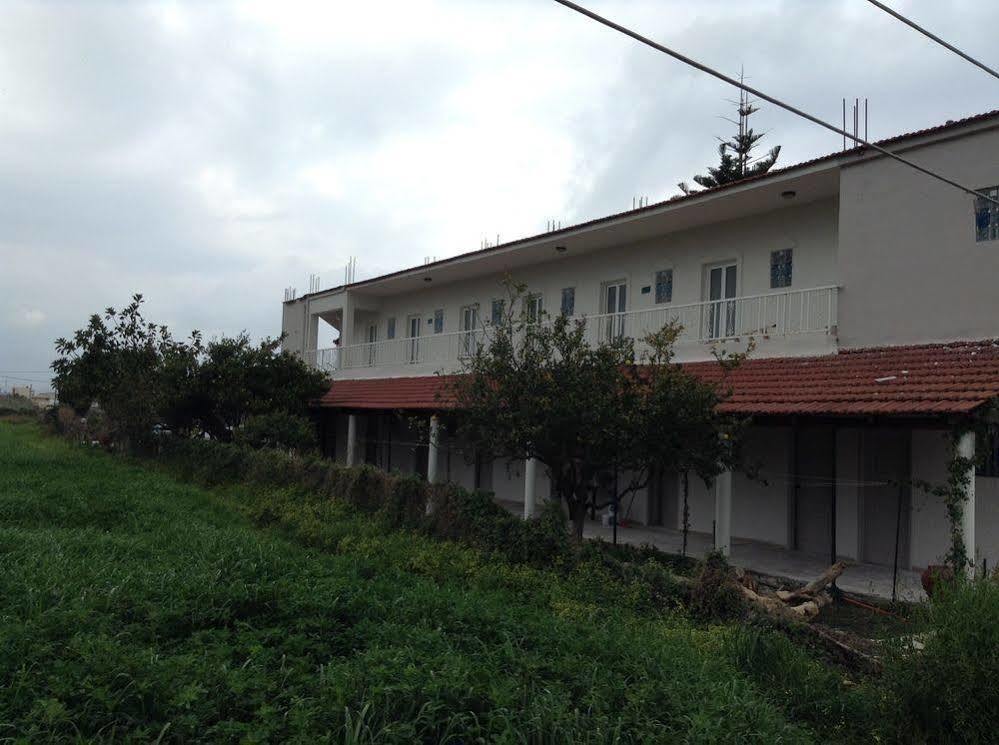 Dias Hotel Apartments Agia Marina Dış mekan fotoğraf